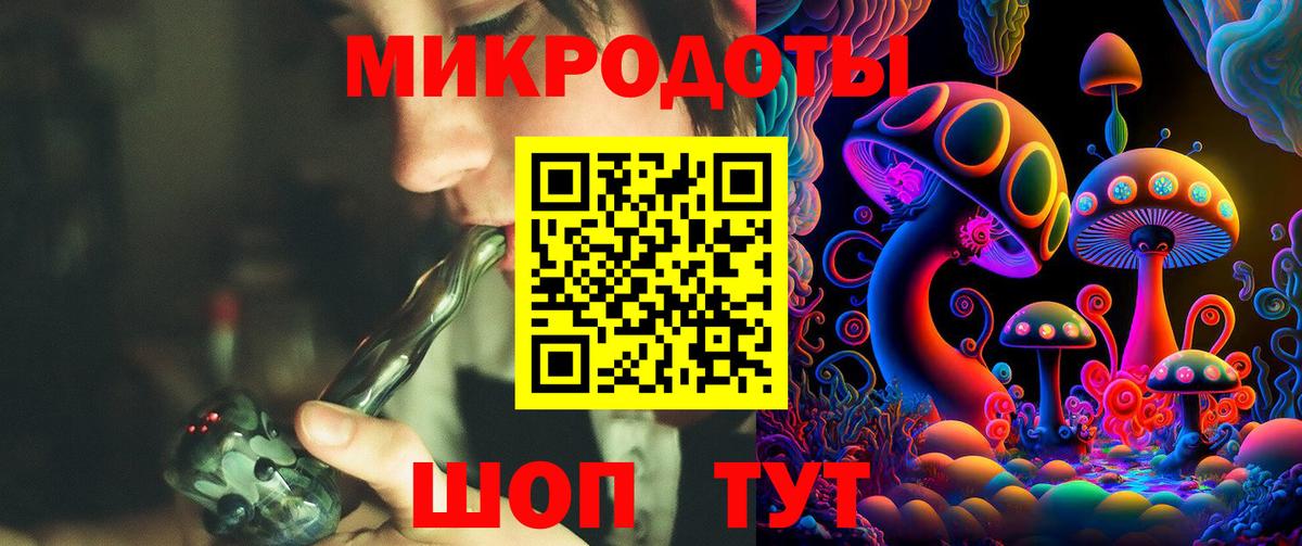 Галлюциногенные грибы Psilocybine cubensis  Вход с VPN  Сухой Лог 